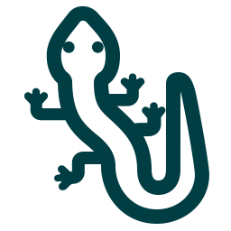 stylized lizard
